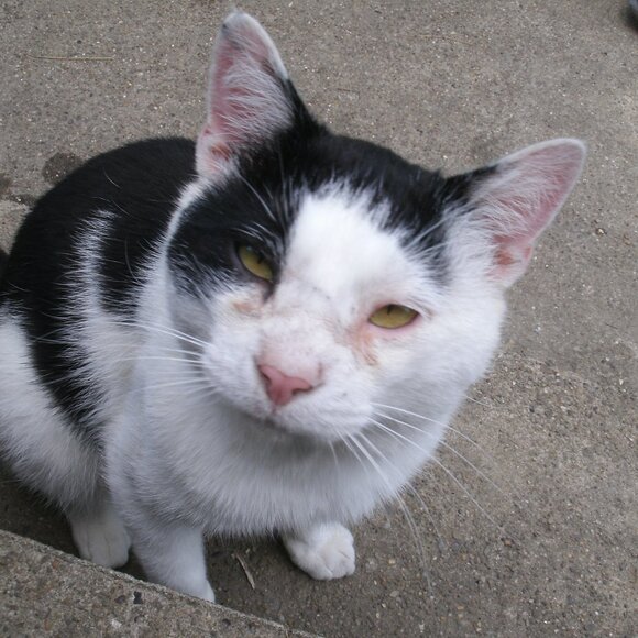 This Closet Supports a Small Animal Rescue. - Picture 14 of 15